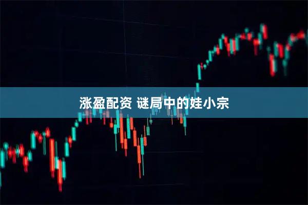涨盈配资 谜局中的娃小宗